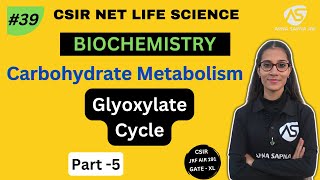 Glyoxylate Cycle  Carbohydrate Metabolism  NETLIFESCIENCE [upl. by Shandra]