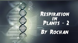 Oxidative decarboxylation  Respiration in Plants  Class 11 Biology  By Rochan [upl. by Adrien146]