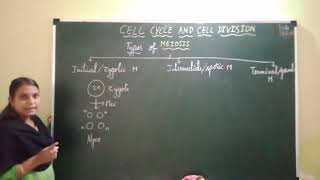 Cell cycle and cell division Meiosis Introduction amp Types of Meiosis [upl. by Evin372]