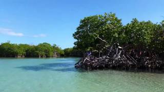 Gilligans Island  Guanica Puerto Rico [upl. by Doelling]