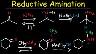 Reductive Amination of Ketones amp Aldehydes With NaBH3CN [upl. by Dyer]