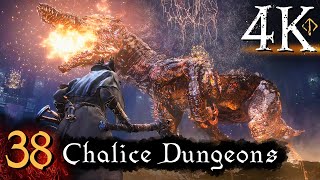 Bloodborne  First Time 4K 100 Platinum Walkthrough Part 38  Chalice Dungeons [upl. by Morita841]