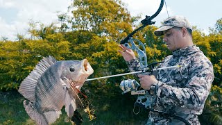 Pesca de Tilapias Gigantes con Arco [upl. by Dorsey]