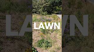 Do You Need Lawn No [upl. by Amorita]