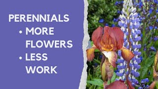 Perennials made easy  how to choose and grow the best plants for your borders [upl. by Eenwahs]