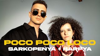 Sarkopenya x Harpya  Poco Poco Loco Teaser [upl. by Halle]