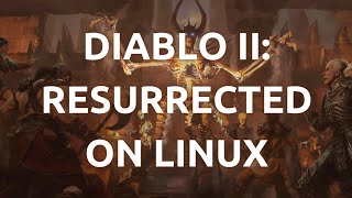 quotHow To Install and Play Diablo II Resurrected on Linux  Complete Tutorialquot [upl. by Dell]