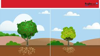 Control de nematodos e insectos de suelo vía riego por goteo [upl. by Traweek]