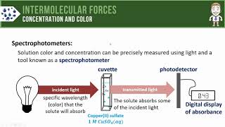 Concentration and Color [upl. by Eiznekcm707]