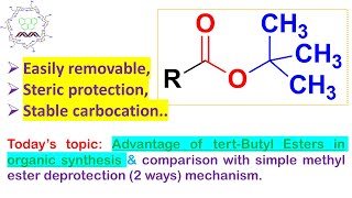 Advantage of tertButyl Esters in organic synthesis amp comparison with simple methyl ester [upl. by Jacquet589]