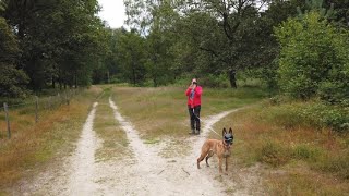 6 km knooppunten wandeling beegderheide [upl. by Aicnarf]