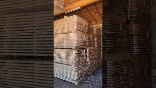 Were busy sawing White Pine Lumber to run in our Woodmizer KD 250 kiln sawmill lumber diy [upl. by Ennire]