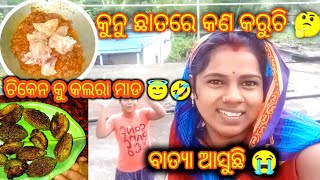 batya ଆସିଲା 😔😲☹️🍗🍗🍗🍱chiken mada vlog [upl. by Lucius]