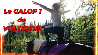 LE GALOP 1 DE VOLTIGEUR [upl. by Latsyk]