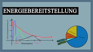 Energiebereitstellung im Muskel  Verlauf mit Erklärung  Grafiken  Knowhow fürs Training [upl. by Eicnahc14]