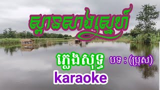 ស្ពានសាងស្នេហ៍ រលឹមលាងស្ពាន បទ ប្រុស Spean Sang Snae ភ្លេងសុទ្ធPleng Sotខារ៉ាអូខេkaraoke [upl. by Ahpla]