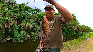 CATCHING INVASIVE SPECIES IN FLORIDA CANALS [upl. by Quintessa]