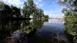 Stive Morgan  Bindweed Above The Water Вьюн над водой [upl. by Ettesyl]