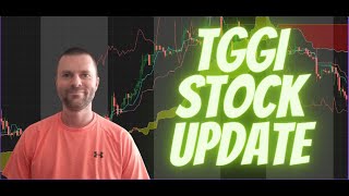 TGGI Stock Prediction Trans Global Group Stock Prediction TGGI Stock News 7262022 [upl. by Adnorehs]