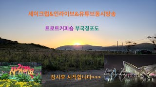 제123회2월21일수요일트로트커피숍부국청포도🌹구독좋아요👍알림설정� [upl. by Haimrej]