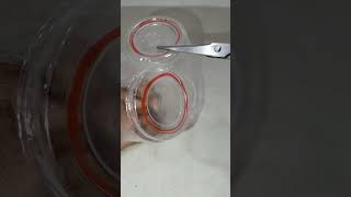 tool for Rangolidiy color powder filler for rangoli making diwalihacksrangolitools trending [upl. by Bashemeth]