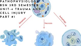 Pathophysiology  BSN 3rd semester  Unit4  Trauma amp cell injury  part 1 [upl. by Arada]