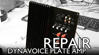 Dynavoice Definition SW10 Plate Amp Repair [upl. by Rigby]