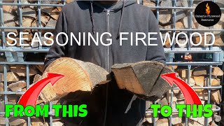 HOW TO SEASON FIREWOOD THE FASTEST WAYS POSSIBLE SEASONINGFIREWOOD DRYINGFIREWOOD [upl. by Eadmund333]