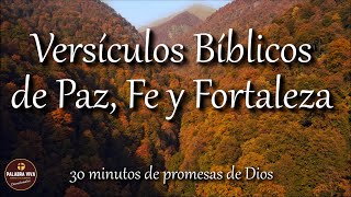 Versículos Bíblicos que te llenarán de Paz Fe y Fortaleza  Biblia hablada  Bible audio [upl. by Espy240]