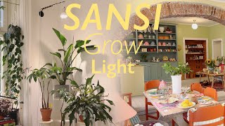 Easy Grow Light Setup for houseplants SANSI 36W… [upl. by Alita]