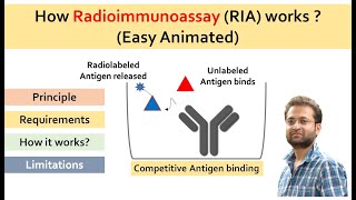 What is Radioimmunoassay RIA How it works Easy animated video [upl. by Ailaham363]