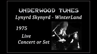 Lynyrd Skynyrd  WinterLand  1975  Live Video Oakland Coliseum Concert [upl. by Ahseyi]