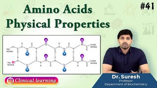 41 Amino Acids  Physical Properties [upl. by Behnken463]