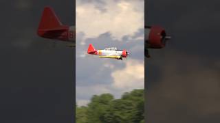 Giant Scale RC AT6 Texan’s MindBlowing Radial Engine Sound [upl. by Bartolome]