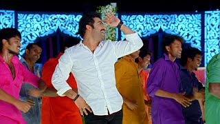 Rabhasa Movie Dam Damare Video Song  JrNtr Samantha Pranitha [upl. by Ahsrav770]