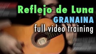 Reflejo de Luna Granaina by Paco de Lucia  Full Training  See Description [upl. by Samanthia]