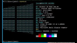 How to get neofetch to work on Windows Powershell [upl. by Bergmans794]