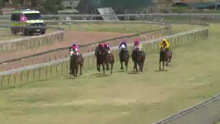 Barcaldine 20241102 Race 2 [upl. by Weirick]