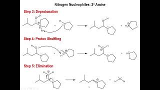 Lec5  Formation of Imines and Enamines from Aldehydes and Ketones [upl. by Jackquelin84]