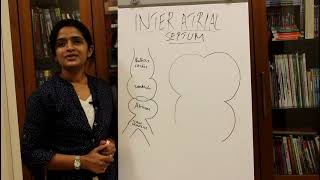 DEVELOPMENT OF THE INTERATRIAL SEPTUMHUMAN EMBRYOLOGY  DR ROSE JOSE MD DNB MNAMS [upl. by Edik]