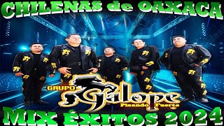 Grupo Galope mix exitos  Chilenas Nuevas 2024  Chilenas Para Bailar mix [upl. by Doro]