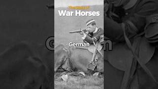 Sorrow of Warhorses historicalstory history historicalanecdotes historicalshorts [upl. by Eillek877]