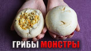 Не ШАШЛЫК но тоже вкусно ГИГАНТСКИЕ шампиньоны Еле поместились в ДУХОВКЕ [upl. by Hanikas]