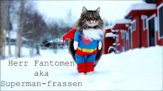 SUPERMANCAT PART ONE [upl. by Eelirem559]