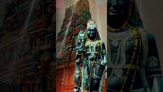 🙏alagendra sollukku muruga 🙏 murugan songs status  tuesday song [upl. by Blunk]