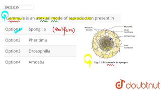 Gemmule is an asexual mode of reproduction present in  CLASS 12  NEET 2020 TEST 5  BIOLOGY [upl. by Eldrid930]