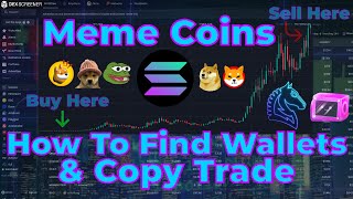 Solana Meme Coins  How To Find Profitable Wallets amp Copy Trade  Trading Bot Full Tutorial [upl. by Draneb]