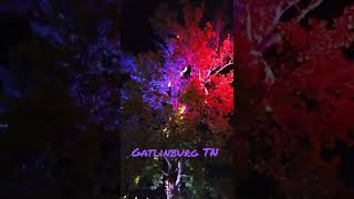 Gatlinburg TN nighttime lights🌃 Smoky mountains national park gatlinburg viral vacation fun [upl. by Chladek]