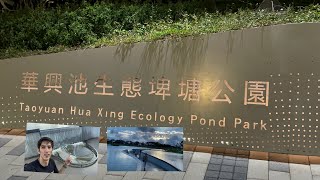 Hua Xing Ecology pond parkat Dayuan dist [upl. by Freiman]