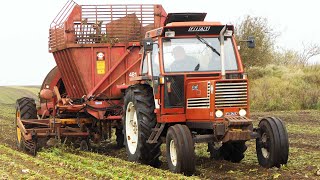 Fiat 980 7090 amp 8590 Tractors Harvesting Sugarbeets [upl. by Harlamert]